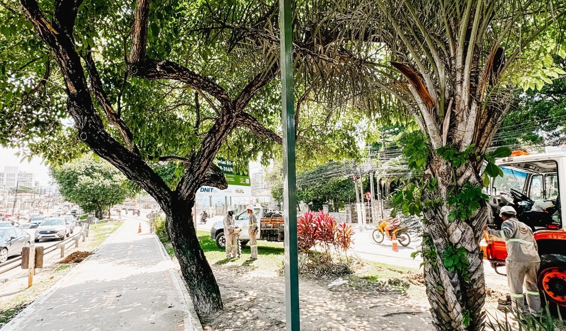 Ciclovia da Avenida Fernandes Lima receberá mil postes com LED