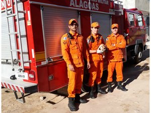Bombeiros resgatam animais presos em casa de veraneio em Maragogi