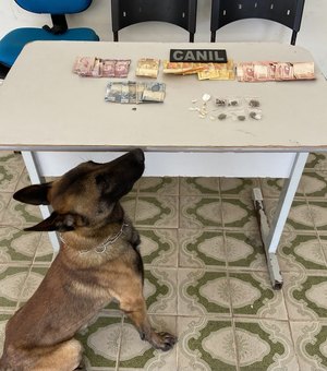 Em Arapiraca, PMAL prende suspeito de tráfico de drogas com ajuda de cão farejador