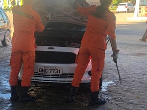 Cobra entra dentro de capô de carro em Maragogi