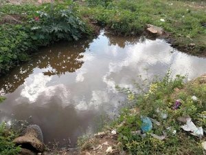 Casal é multada em mais de R$ 6 mi por irregularidades