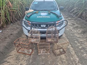 PM apreende armas e resgata mais de 250 animais silvestres durante operações em Alagoas