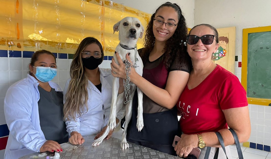 Moradores de Arapiraca são convocados para mutirão de castração de gatas e cadelas no bairro Baixa Grande