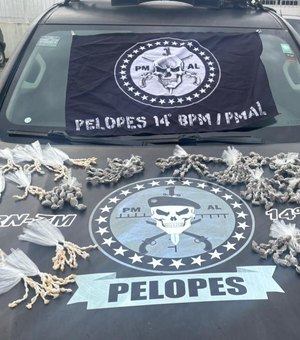 Polícia apreende adolescente com 565 papelotes de maconha e 394 pedras de crack em Colônia Leopoldina