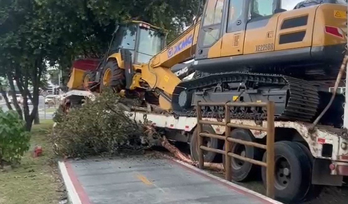 [Vídeo] Carreta invade ciclovia, derruba árvores e causa estragos na Avenida Durval de Góes Monteiro