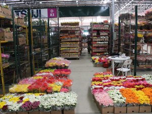 Comércio de flores neste dia de Finados é influenciado pela condição das cidades no plano de flexibilização