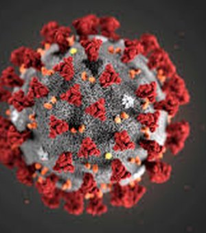 Segundo cientistas brasileiros, novo coronavírus está em mutação