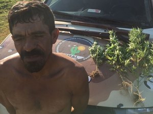 Polícia prende homem acusado de plantar maconha