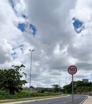 SMTT Arapiraca orienta condutores sobre cuidados com animais nas vias