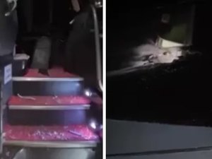Ônibus com universitários é atacado com bombas caseiras na BR-104, em Messias
