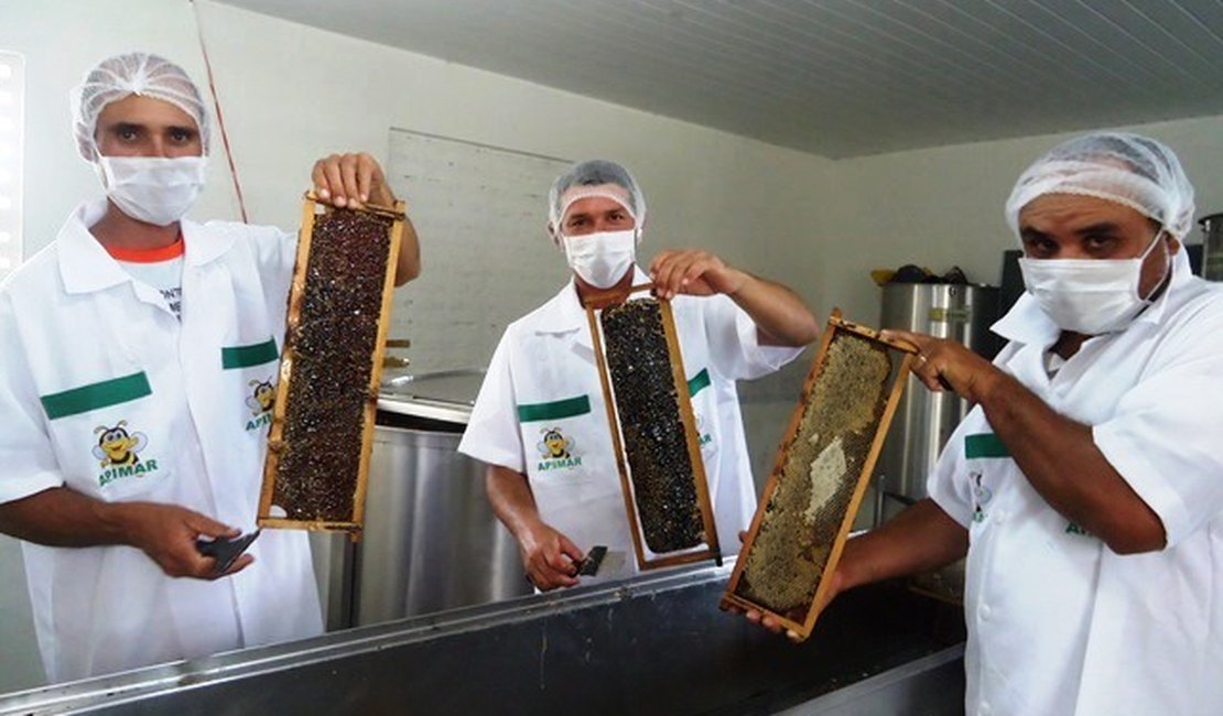 Apicultores de município alagoano devem colher 5 toneladas de mel em 2017