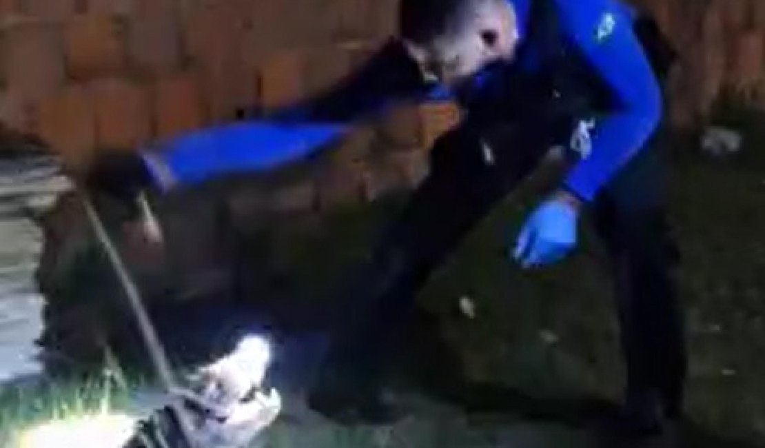 [Vídeo] Jacaré de quase dois metros que invadiu residência é regatado em Marechal Deodoro