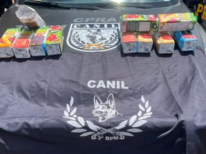 Mulher é presa com dez quilos de cocaína em bagagem no município de São Sebastião