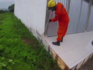 Bombeiros capturam jacaré em condomínio em União dos Palmares