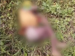 Pai suspeito de matar o próprio filho PCD, é preso em São José da Laje