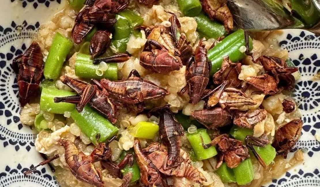 Chef de Nova York quer colocar insetos na mesa da população; veja pratos