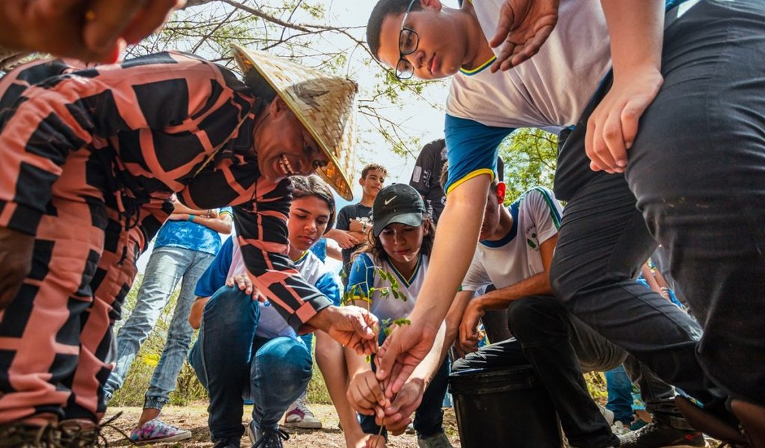 Arapiraca fortalece compromisso ambiental com mais de 57 mil árvores plantadas