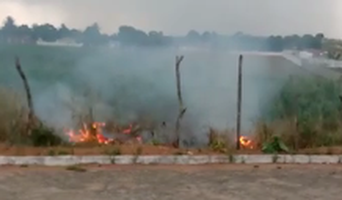 [Vídeo] Queda de fios de rede elétrica provoca incêndio em vegetação perto de residencial em Arapiraca