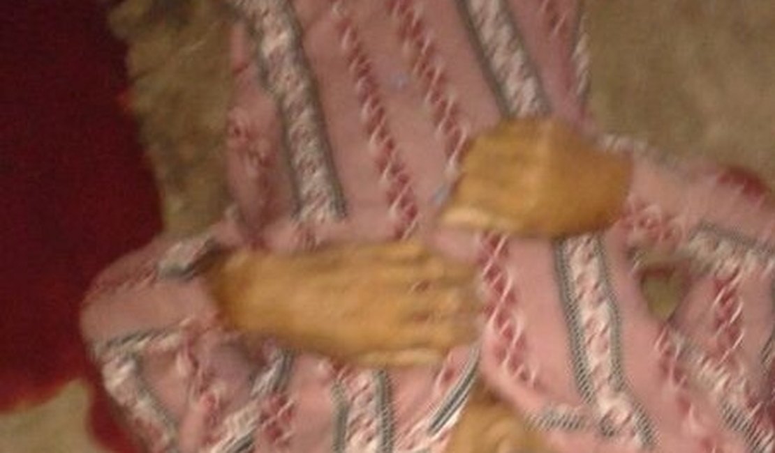 Homem é assassinado a tiros em Traipu