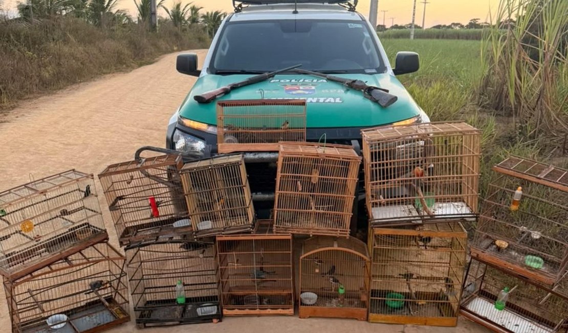 Polícia apreende duas armas e resgata 59 animais silvestres em Alagoas
