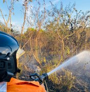 Incêndio prejudica tráfego na rodovia AL 485 em Arapiraca