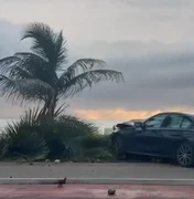 Motorista perde controle de BMW e derruba coqueiro na orla de Jatiúca, em Maceió