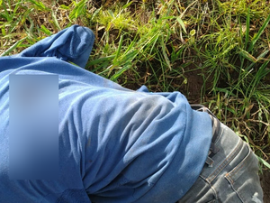 Manhã de sábado em Traipu é marcada por assassinato de vaqueiro