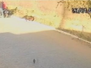 Assassinato de supervisor da base do CRB foi premeditado e teve fuga planejada