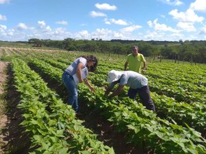 Emater Alagoas alerta para prorrogação da Declaração de Aptidão ao Pronaf