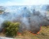 Incêndio de grandes proporções atinge vegetação na Avenida Menino Marcelo