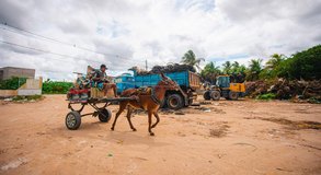 Prefeitura de Arapiraca convoca carroceiros para realizar cadastro obrigatório