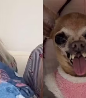 Morre Pituca, pinscher mal-humorada com mais de um milhão de seguidores