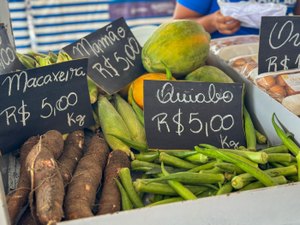 Feira da Agricultura Familiar em Murici terá participação de produtores de oito municípios