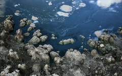 FPI do São Francisco: órgãos ambientais apontam causas da secagem da Lagoa do Pé Leve