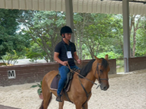 Girau capacita profissional em curso especializado para tratamento de equoterapia em Brasília