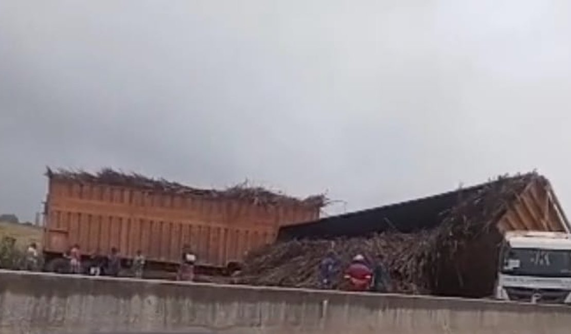 Caminhão canavieiro fica atravessado após tombar na AL-220