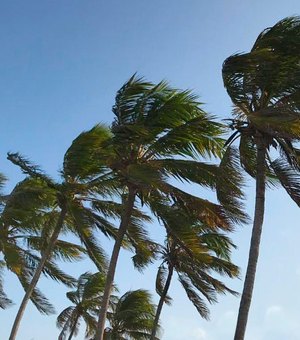 Semarh alerta para ventos fortes no Litoral e no Baixo São Francisco de Alagoas