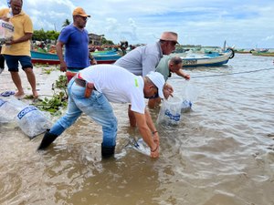 Peixamentos inserem espécies nativas no rio São Francisco durante Festa de Bom Jesus em Piaçabuçu Porto Real do Colégio