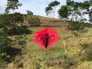 Artista plástica constrói vagina de 33 metros no interior de Pernambuco