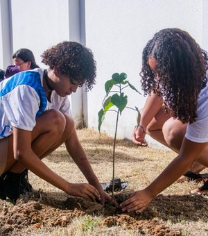 Alagoas Mais Verde: programa de arborização do IMA contabiliza mais de 1,6 mi de mudas plantadas