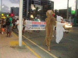 ONG promove evento para arrecadar produtos para animais abandonados