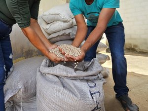 Emater atende 9 mil agricultores familiares no primeiro semestre de 2025