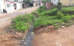 Coleta de lixo e limpeza do local não é feita.