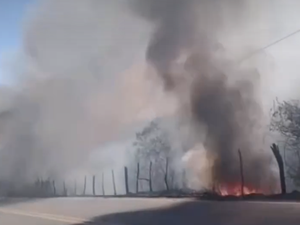 Incêndio em vegetação mobiliza Corpo de Bombeiros em Palmeira dos Índios