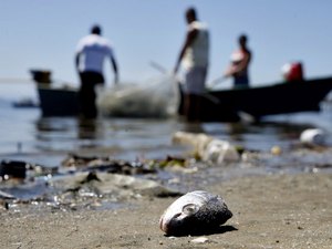 Mais de 12 mil licenças de pescadores profissionais são suspensas