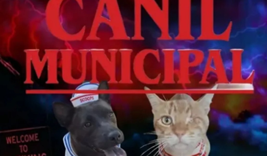 Canil aposta em Stranger Things para nomear animais e promover adoção