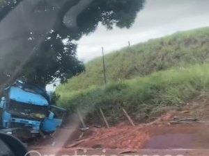 Carreta colide em árvore e motorista fica ferido em Novo Lino