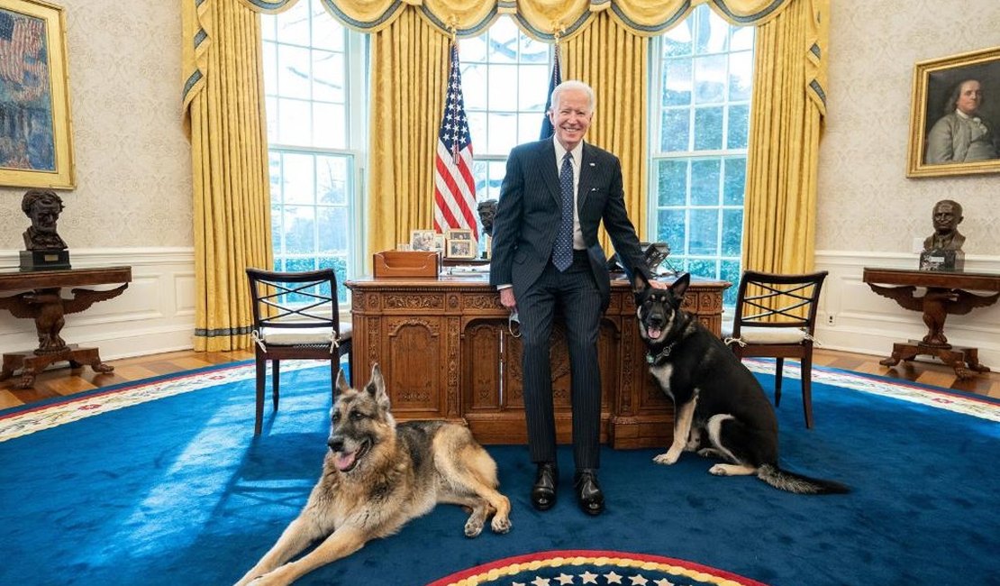 Cão adotado por Biden causa ferimento leve em agente da Casa Branca