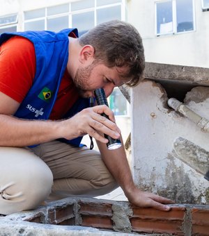 Sesau orienta sobre as medidas para evitar criadouros do mosquito vetor da dengue