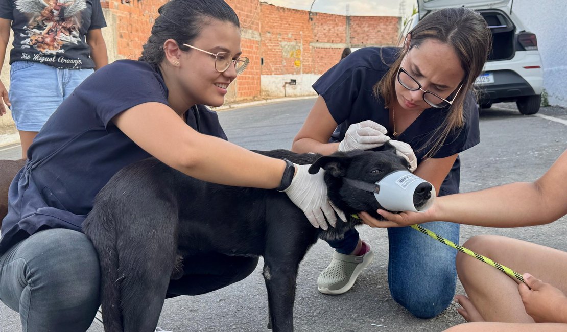 Lei estadual que garante proteção e o bem-estar dos animais já está em vigor